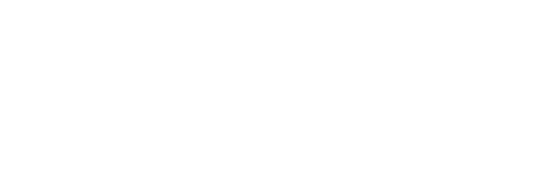 Iberiss – pracownia florystyczna